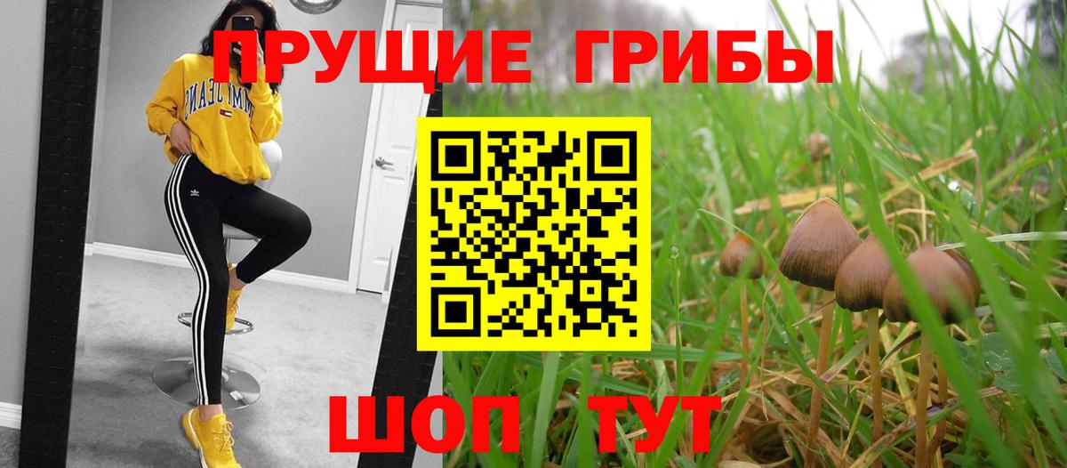 Галлюциногенные грибы прущие грибы Лесозаводск